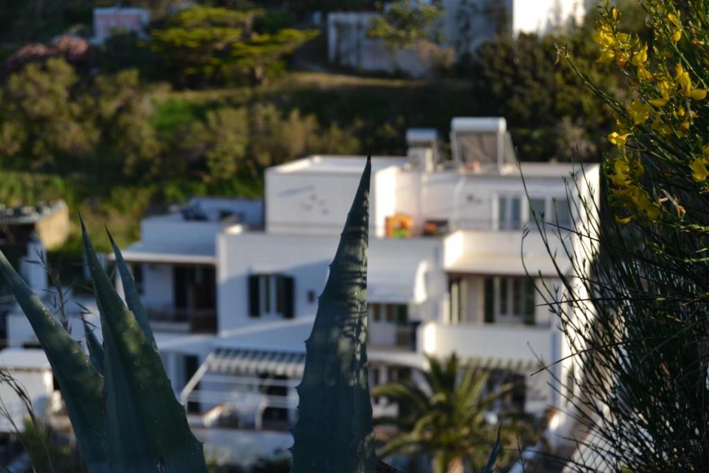 Casa Baia Luna Frühstückspension
